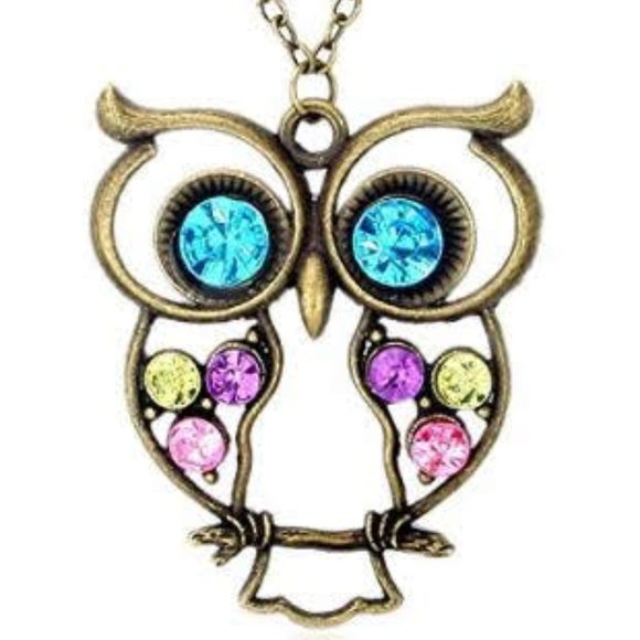 Jewelry - 3/$15 Copper Owl Multicolored Jewel Necklace